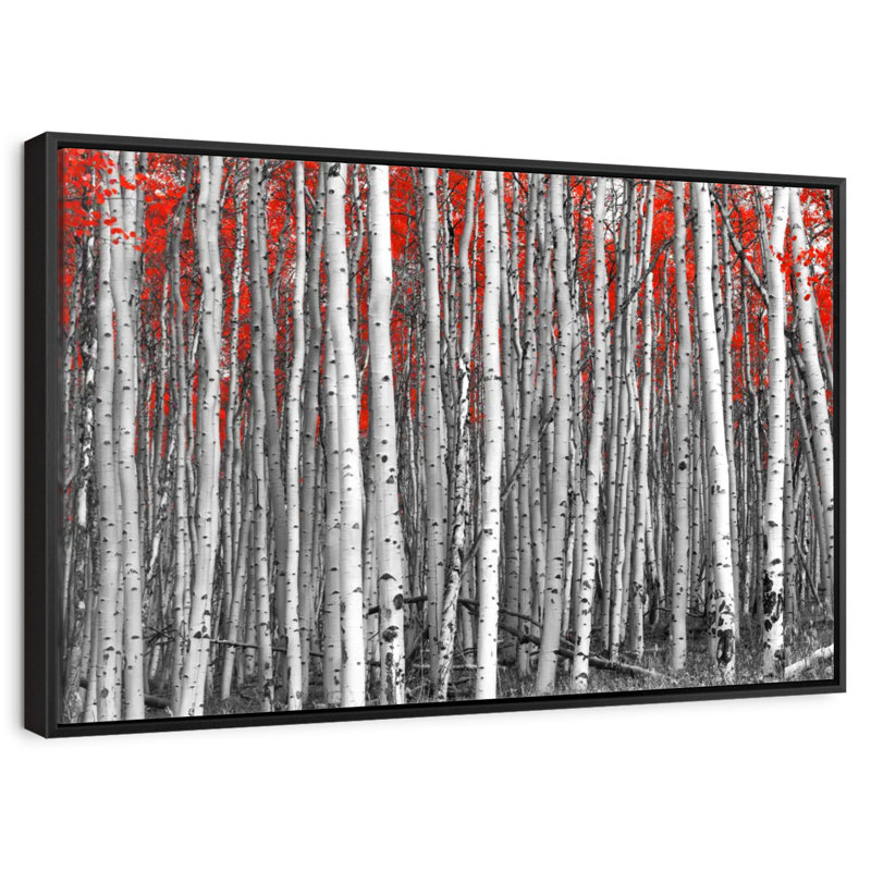 Forêt de bouleaux rouges, Cadre flottant noir, 40 po x 27 po