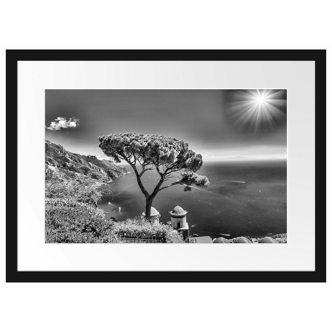 Gerahmtes Poster Baum am blauen Meer