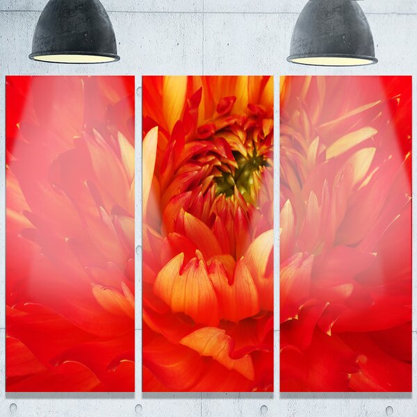 DesignArt Bright Red Close-Up Flower Petals Framed On Metal 3 Pieces ...