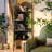 21.26"Green Solid Wood Bookshelf