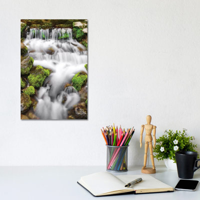 Fern Spring I, Yosemite National Park, California, USA by Russ Bishop - Gallery-Wrapped Canvas Giclée on Canvas