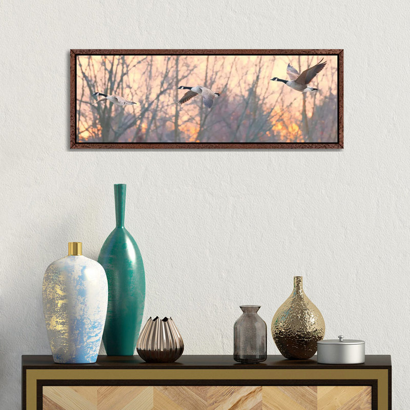 Canadian Trio by David Gardiner - Panoramic Print on Canvas, Brown Framed, 30.48 cm H x 91.44 cm W