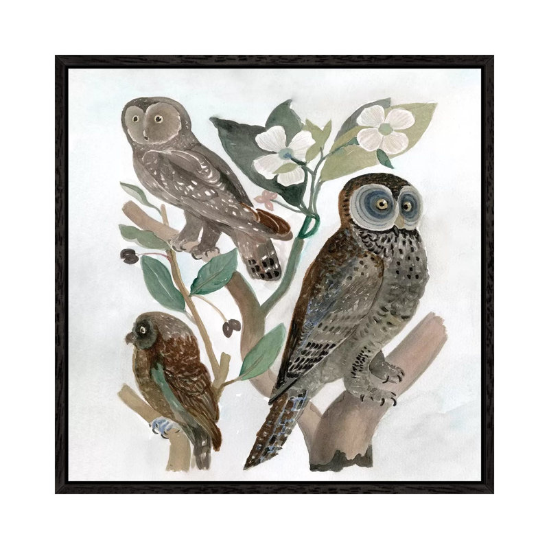 Traditional Owls II by Stellar Design Studio - Floater Frame Gallery-Wrapped Canvas Giclée on Canvas, Black