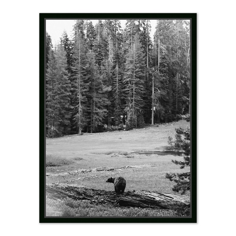 Don't Feed The Bears Print by Wesley And Emma Teague, Black Metal Floater Framed, 40" H x 30" W x 2" D
