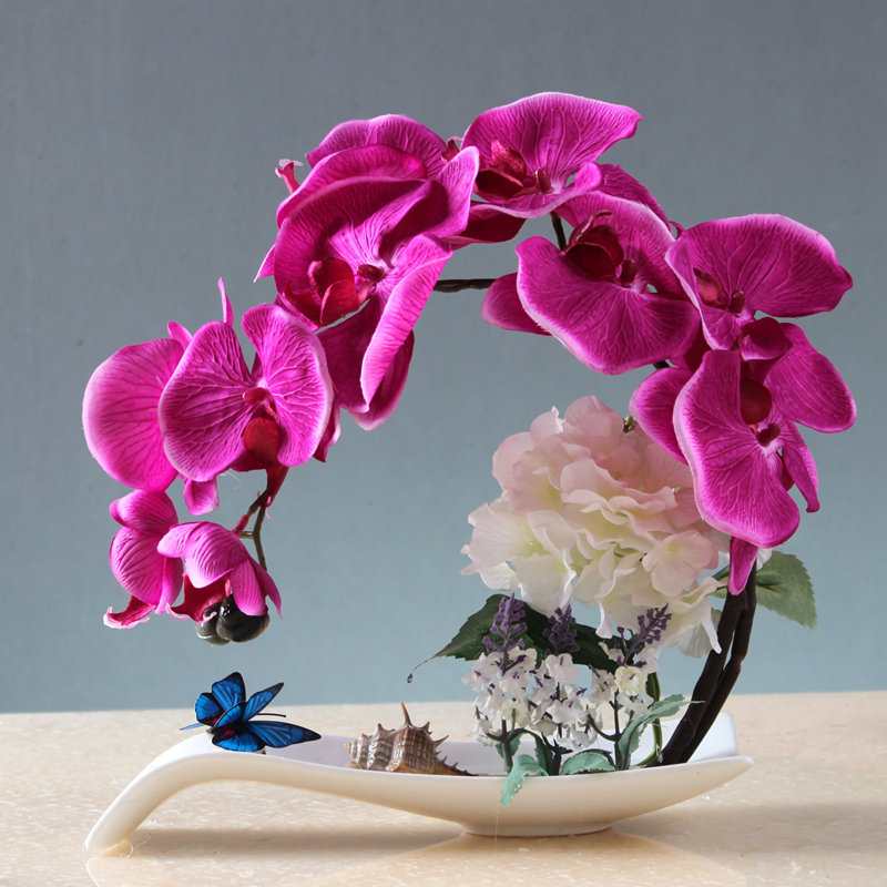 Orchidée papillon