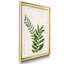 Botanical Wash II - reproduction d'art sur papier-2130414790-2130414793