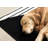 Fresno Black White Contrasting Modern Area Rug-112014109