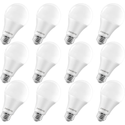 15 W (équivalent à 100 W), ampoule DEL A19 à intensité variable, culot moyen E26 (standard)