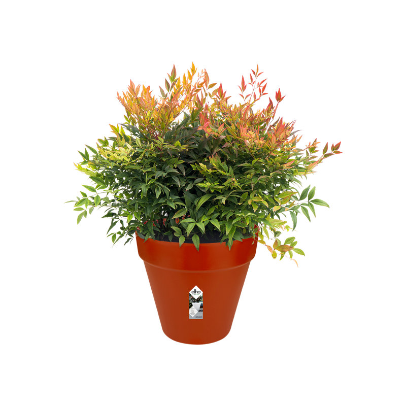 Pot Planter, 35.2cm H x 39cm W x 39cm D, Brique