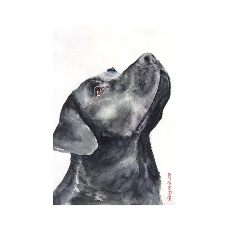 Black Labrador by George Dyachenko - Wrapped Canvas Print, 66.04 cm H x 45.72 cm W x 3.175 cm D, Black/Grey/White, No Frame