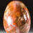 Petrified Wood Egg-124930772-124930752