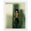 Newton, Polaroids