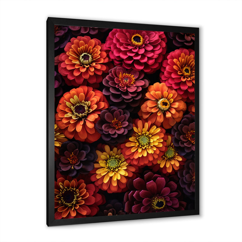 Zinnia orange, rose et fleurs, Noir, H 40 po x l 30 po x P 1,5 po