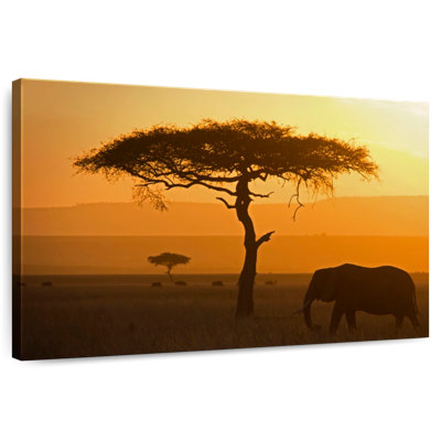 Lone Elephant