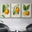 Citron français I 3 pièces-97795864-97795857