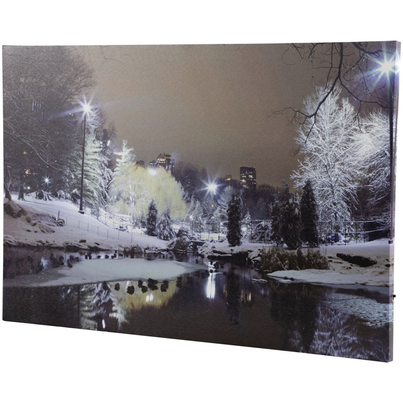 Art mural sur toile 23,5 po