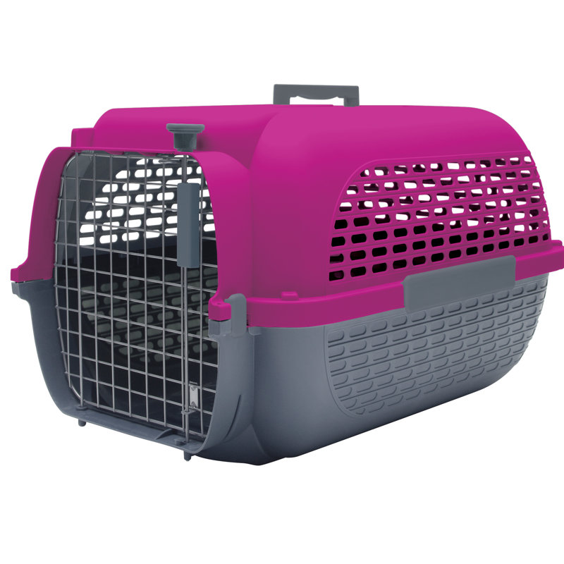 Sac de transport Dogit Voyageur, H 12,8 po x l 11 po x P 19 po, Fuchsia / gris
