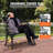 Ashton Metal Outdoor Bench
