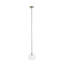 Shaver 1 - Light Clear Teardrop Pendant