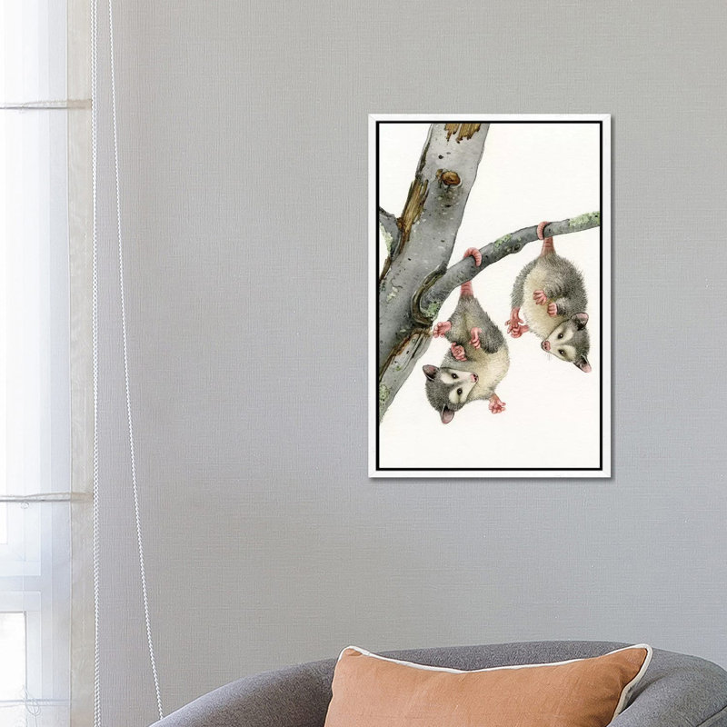 Playful Possums 1 Piece Painting on Canvas, 66.04cm H x 45.72cm W x 3.81cm D, White Framed