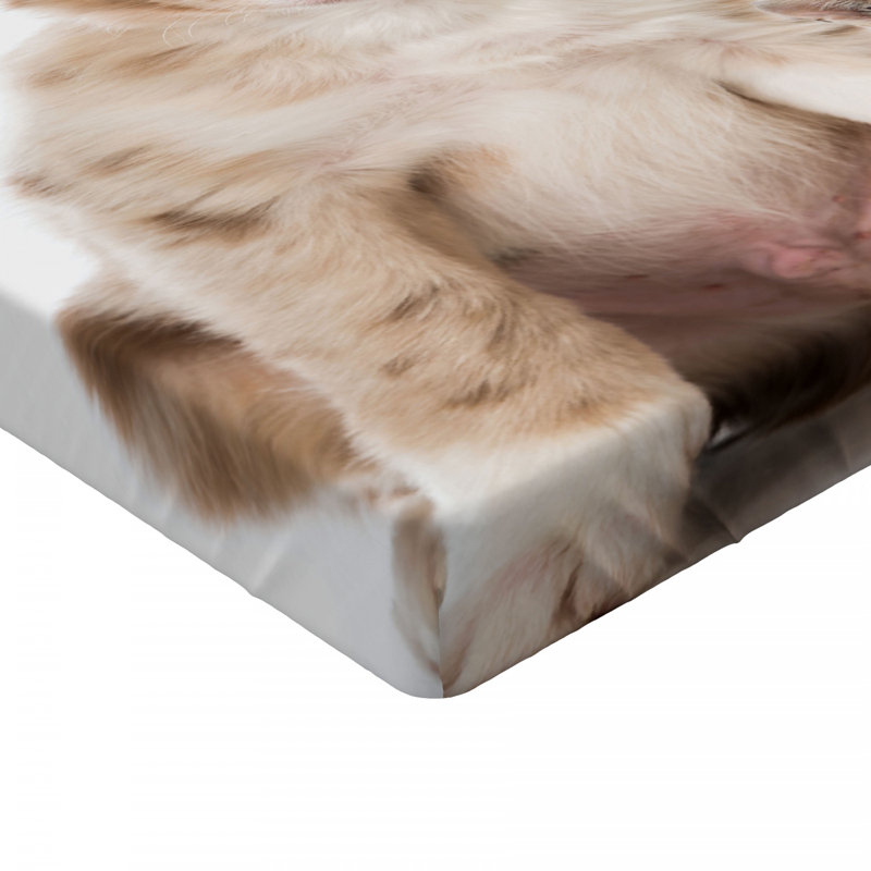 Microfiber Fitted Sheet, Full Fitted Sheet