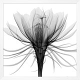 Hand-Picked Gray 2' Framed Graphic Art Print on Glass