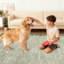 Tapis modernes à bordures lavables modernes pour la chambre à coucher, tapis doux et résistant aux taches et résistant aux taches-630675355-630675344