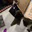 Photos des clients 6 de 9