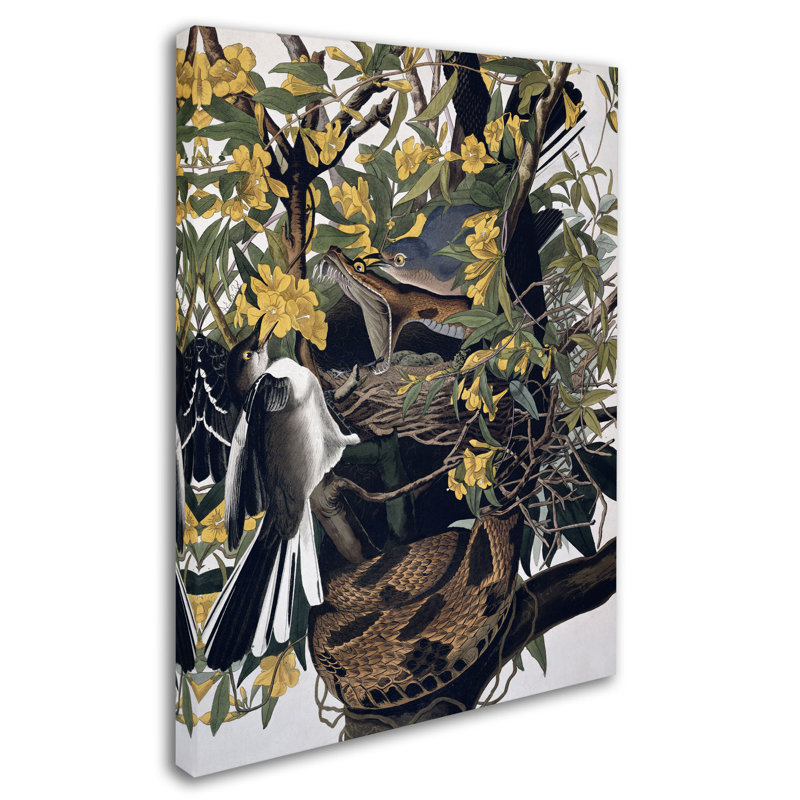 «Mocking Birds and Snake» par John James Audubon, reproduction sur toile, H 19 po x l 14 po x P 2 po
