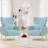 Upholstered Accent Chair With Pillow For Living Room-2069780813