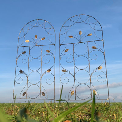 Lifthrasir 120cm H x 50cm W Metal Arched Trellis