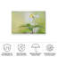«Spring Light On Canvas» par Heidi Westum, reproduction-1546216818
