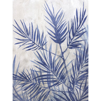 " Blue Fern Plant "