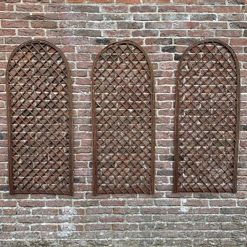 Anaysa 120cm H x 45cm W Wood Arched Trellis