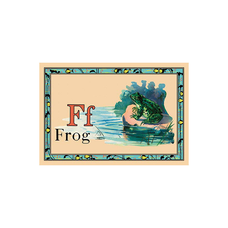 « grenouille », impression encadrée