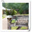 Vase mural Kalesia-305085781