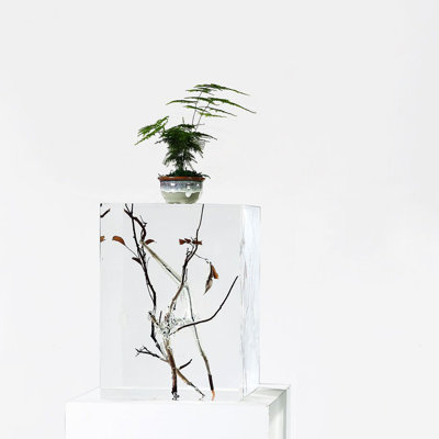 DAINTE Modern Cubic Crystal Pedestal Stand | Luxury Clear Acrylic Display Pedestal with Natural Wood for Home & Office