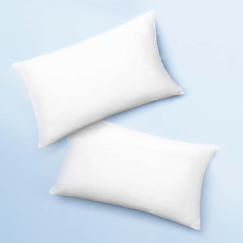Insert de coussin réversible, 18 po x 12 po, 2 pièces