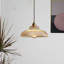 Luminaire suspendu 1 lumière Allensville-1358890842