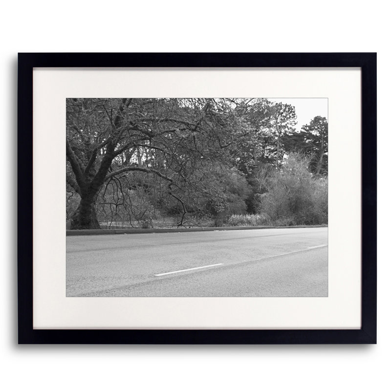 Trees In Golden Gate Park Print by Ben Swire, 17.25" H x 21.25" W x 0.875" D