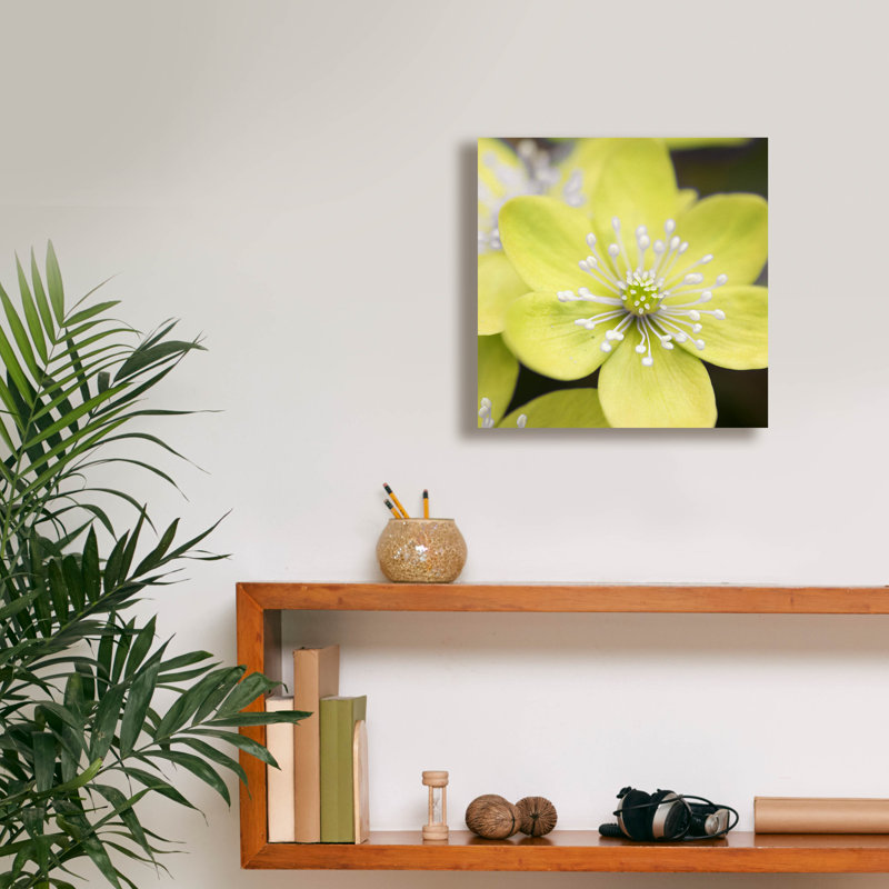 «Yellow Blossom» par PhotoINC Studio, H 12 po x l 12 po x P 0,75 po