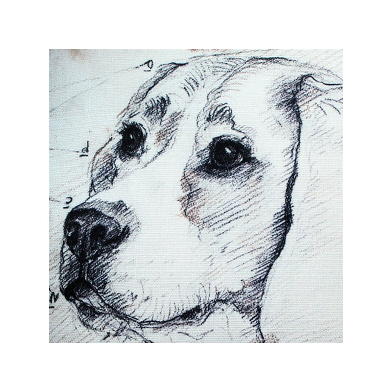 Coussin intérieur / extérieur Beagle Dog