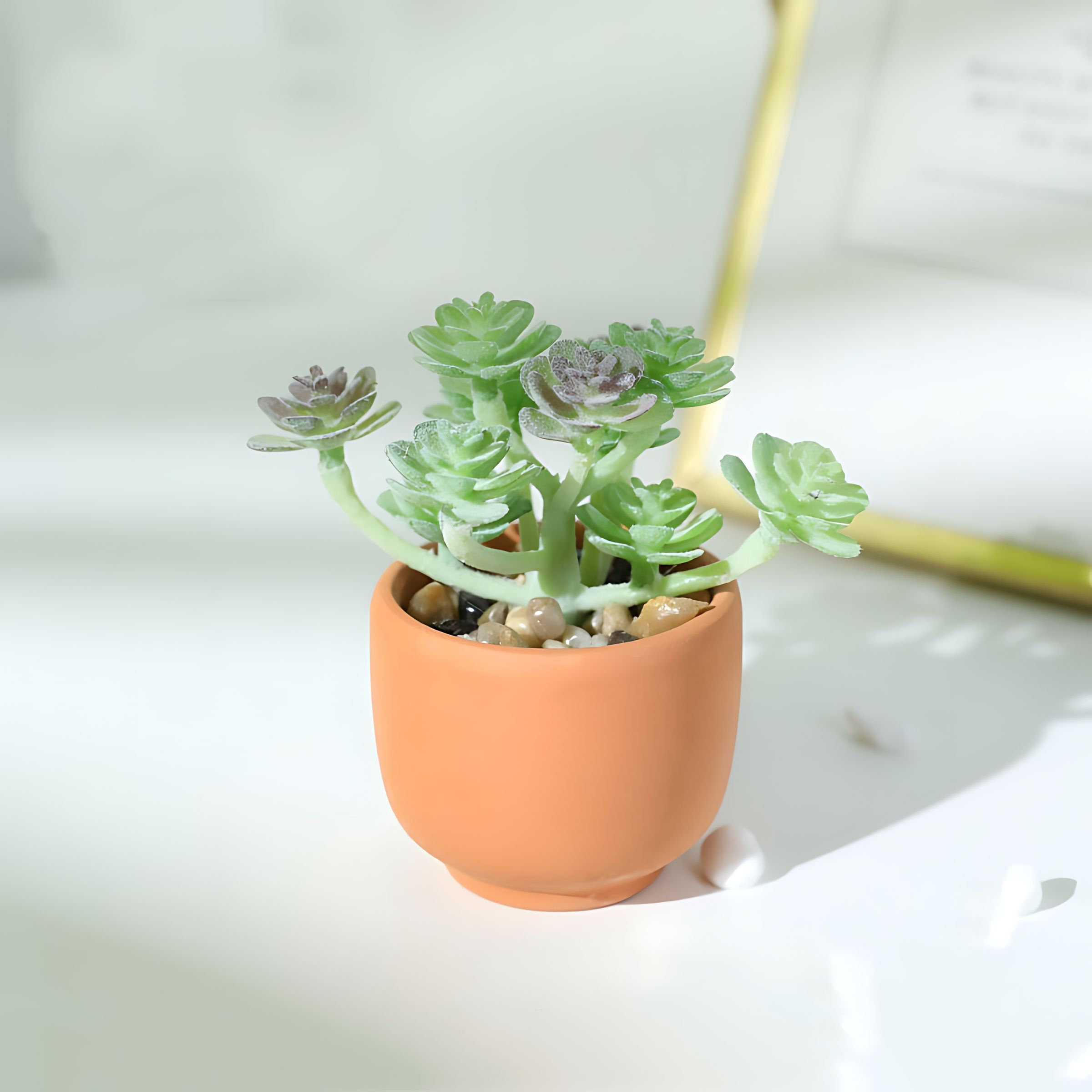 Fake Computer Desktop Office Fake Office 365 Site Pushes Trickbot