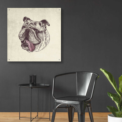 " Bulldog King " by Rachel Caldwell
