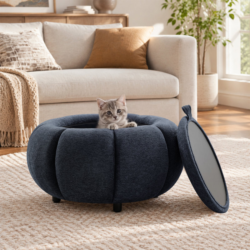 Repose-pieds avec rangement Pumpkin avec plateau réversible, tabouret d'appoint rembourré et table basse, Bleu