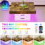 Table basse-864345019-864345018