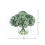Hortensias dans un vase en verre-1175266586