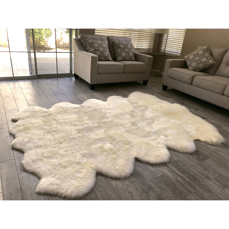 Tapis crème foncé luxueux Wickstrom, Nouveauté 6 pi x 10 pi