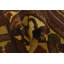 Tapis doré 3x5 Pedersen