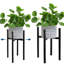 Azahel Plant Stand - Set of 2